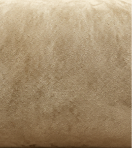 Upholstery Before